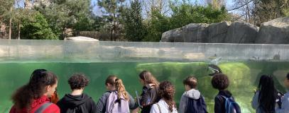 Sortie au zoo 